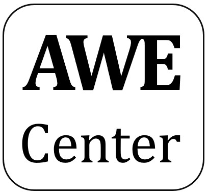 Center for Artificial Wisdom